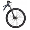 Rower górski CANNONDALE TRAIL 29 SL 3 WOMENS szaro-niebieski