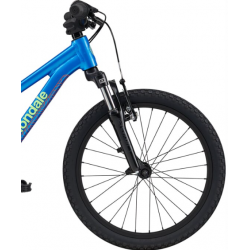 Rower górski CANNONDALE TRAIL 20 niebieski