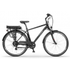 Rower elektryczny EcoBike Traffic M czarny Greenway 36V 14,5Ah (522Wh) 2024