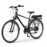 Rower elektryczny EcoBike Traffic M czarny Greenway 36V 14,5Ah (522Wh) 2024