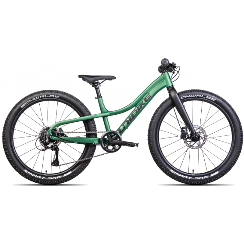 Rower młodzieżowy Unibike Rock zielony