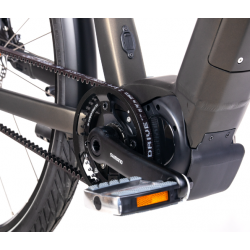 Rower elektryczny Unibike Energy GTS ciemnozielony