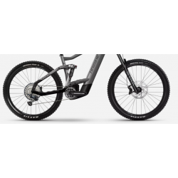 Rower Elektryczny Haibike ALLMTN 5 platyna 2024