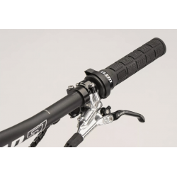 Rower elektryczny GHOST PATH RIOT LC ADVANCED grey / pearl light grey glossy