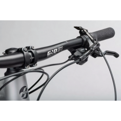 Rower górski GHOST Kato Essential 29 AL jasny / szary 2024