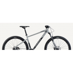 Rower górski GHOST Kato Essential 29 AL jasny / szary 2024