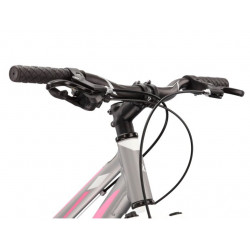 Kross Lea Jr 2.0 2021 Srebrny - Różowy - Biały Mat Rower Młodzieżowy 24"