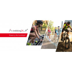 Kross Lea Jr 2.0 2021 Srebrny - Różowy - Biały Mat Rower Młodzieżowy 24"