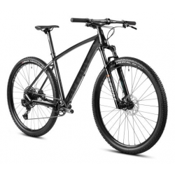 Rower ACCENT MTB 29" POINT SX EAGLE szaro / czarny 2024