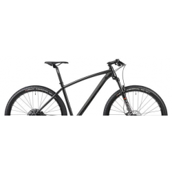 Rower ACCENT MTB 29" POINT SX EAGLE szaro / czarny 2025 + eBon 150