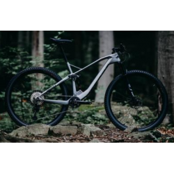 Rower ACCENT MTB 29" HERO CARBON XTR platynowy 2024 + eBon 250