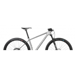 Rower MTB ACCENT 29" PEAK CARBON BOOST EVO XTR platynowy 2024