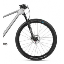 Rower MTB ACCENT 29" PEAK CARBON BOOST EVO XTR platynowy 2024