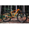 Rower MTB ACCENT 29" PEAK CARBON BOOST SLX tygrysi pomarańcz 2024