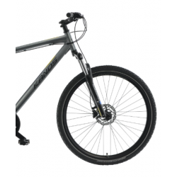 Rower crossowy KANDS 28 CANAVARO garafitowy / żółty mat