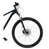 Rower górski KANDS 29" BALATON ALIVIO grafitowy mat 2023