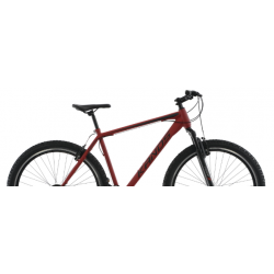Rower górski KANDS 29" GUARDIAN czerwony mat 2023