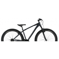 Rower górski KANDS 29" GUARDIAN grafitowy / czarny połysk 2023