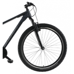 Rower górski KANDS 29" GUARDIAN grafitowy / czarny połysk 2023