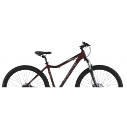 Rower górski KANDS 29" SAPHIRE ALTUS HYDR bordowy mat 2023