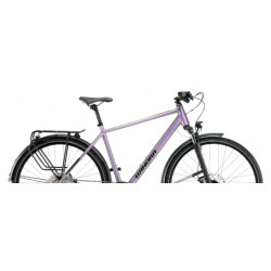 Rower trekkingowy WINORA Domingo X12 PRO HIGH kameleon 2025