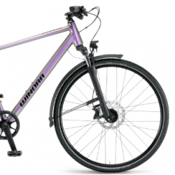 Rower trekkingowy WINORA Domingo X12 PRO HIGH kameleon 2025