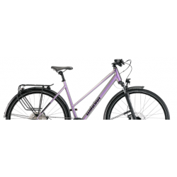 Rower trekkingowy WINORA Domingo X12 Pro Mid