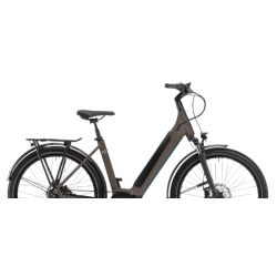 Rower elektryczny WINORA Sinus R5 LOW 625Wh torf matowy 2025