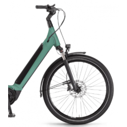 Rower elektryczny WINORA Sinus R380 auto sosna mat 2021