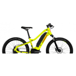 Rower elektryczny młodzieżowy HAIBIKE ALLTRACK Kids limnkowo / czerwony 2023