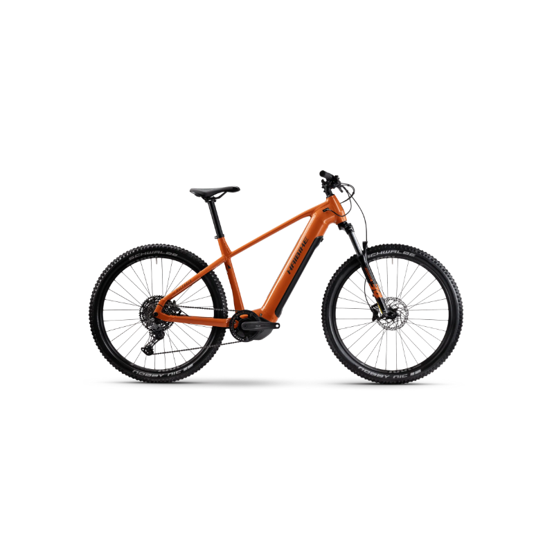 Rower elektryczny HAIBIKE ALLTRACK 6 29 HIGH 720Wh papaya / titan - gloss 2025