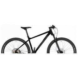 Rower górski AUTHOR ORION 29 czarny + eBon 150zł 2025
