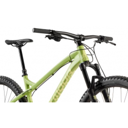 Rower górski DARTMOOR Primal Evo 29 Green Olive mat 2022