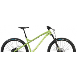 Rower górski DARTMOOR Primal Evo 29 Green Olive mat 2022