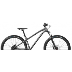 Rower górski DARTMOOR Primal Intro 29 grafitowy / czarny mat 2025