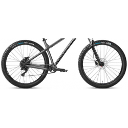 Rower górski DARTMOOR Primal Intro 29 grafitowy / czarny mat 2025