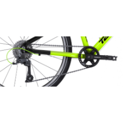 Rower młodzieżowy TABOU SUPERLITE 24 lime / black 2025