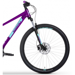 Rower górski TABOU 29 WIZZ 29 2.0 fioletowy / niebieski 2024