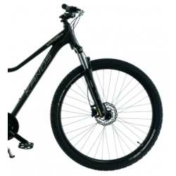 Rower górski KANDS 29 SAPHIRE PRO V2 czarno / złoty mat 2025