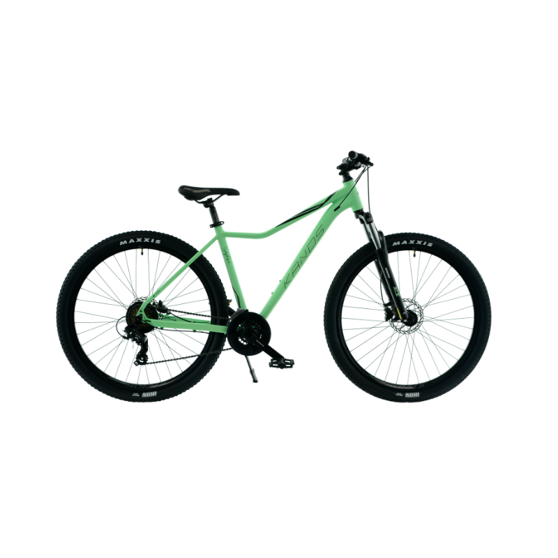 Rower górski KANDS 29 SAPHIRE V1 miętowy mat 2025