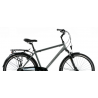 Rower trekkingowy KANDS 28 ALFA CITY Męski grafitowo-złoty 2022