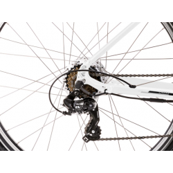 Rower elektryczny ROMET Orkan RM 1 D Integrated biały / szary