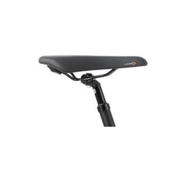 copy of Romet Wagant 9 jasnografitowy / ciemnozłoty 2024