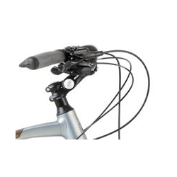 copy of Romet Wagant 9 jasnografitowy / ciemnozłoty 2024