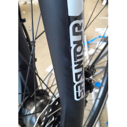 copy of Romet Wagant 9 jasnografitowy / ciemnozłoty 2024