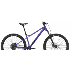 Rower górski GT ZASKAR LT 29 COMP fioletowy