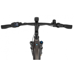 Rower elektryczny ECOBIKE Dare miedziany 2024