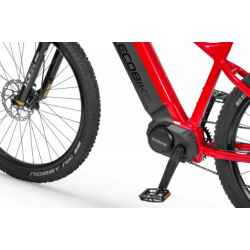 Rower elektryczny Ecobike RX 500 - CAN 48V 20Ah (960Wh) czerwony 2024