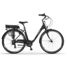 Rower elektryczny Ecobike Basic czarny AXA Greenway 36V 11,6Ah (417.6Wh) 2024