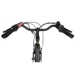 Rower elektryczny Ecobike Basic czarny AXA Greenway 36V 11,6Ah (417.6Wh) 2024